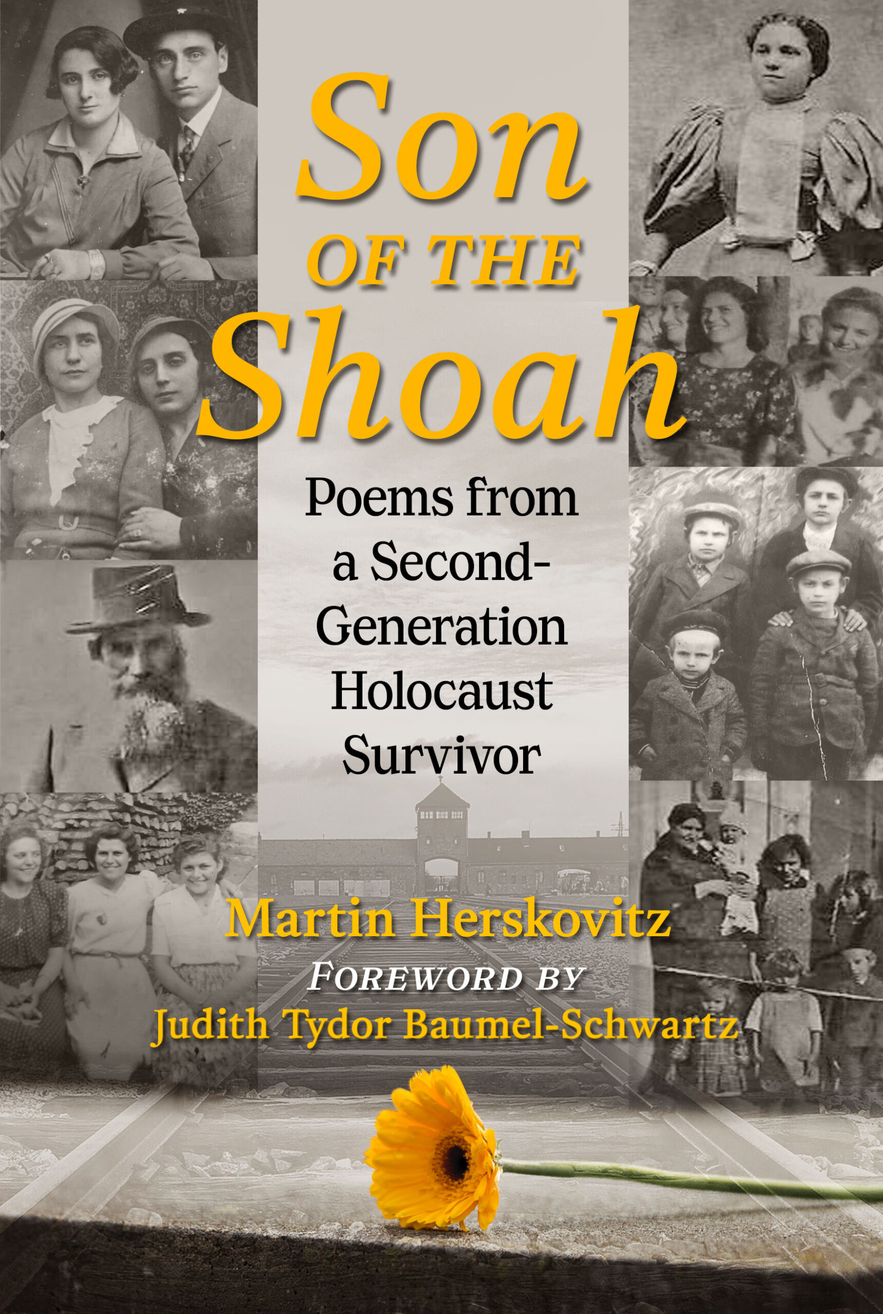 "Son of the Shoah" Book Cover