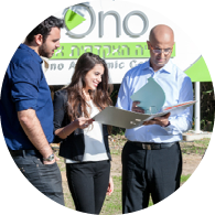 מרצה וסטודנטים בחצר הקמפוס