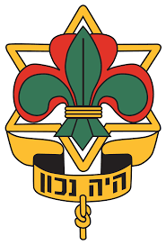 לוגו של היה נכון