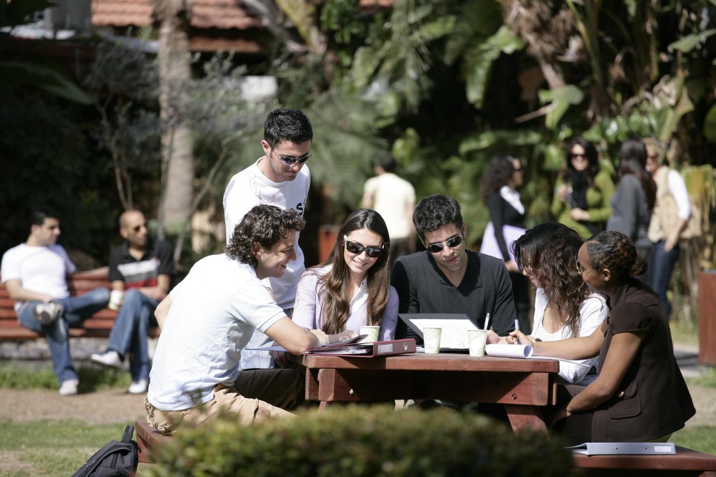 סטודנטים יושבים בחצר ולומדים ביחד